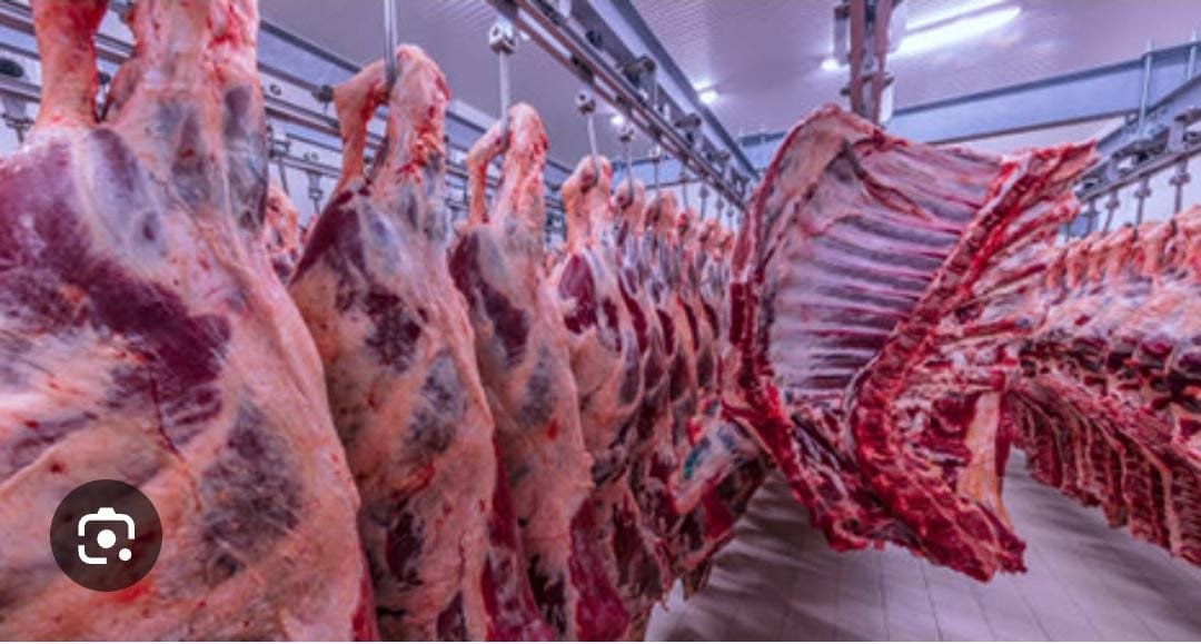Pakistani beef