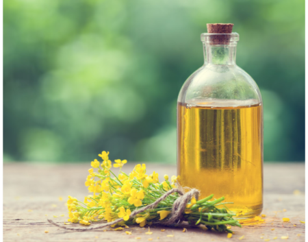 Canola Oil