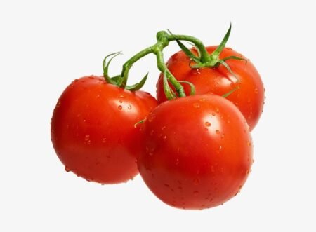 Fresh Tomatoes