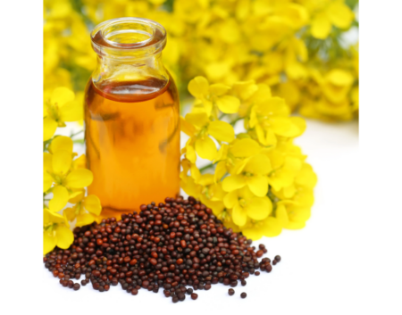 Mustard Oil